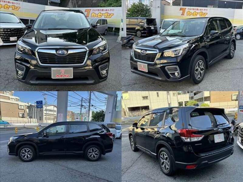 FORESTER
