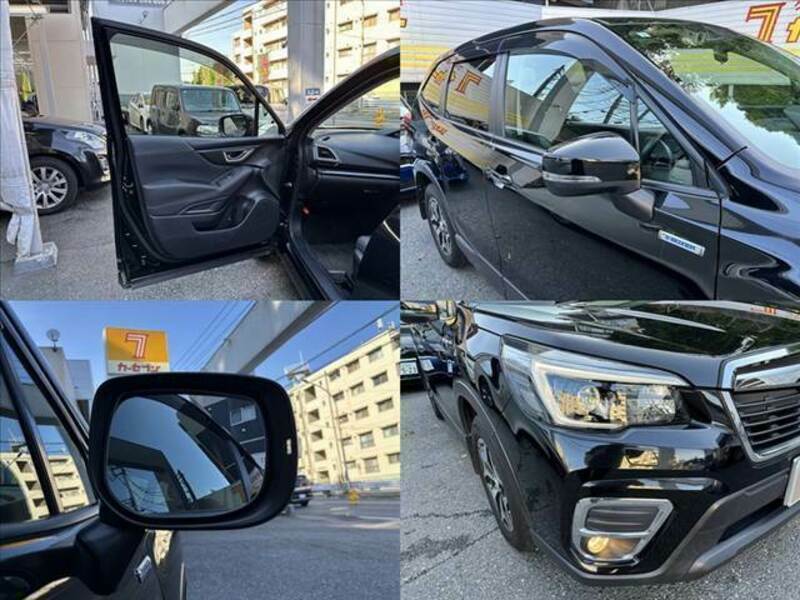 FORESTER