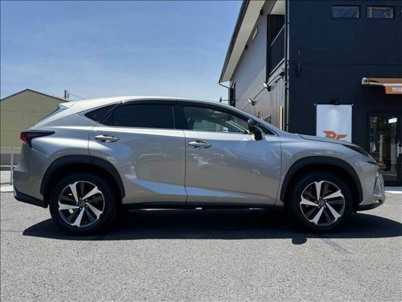 NX