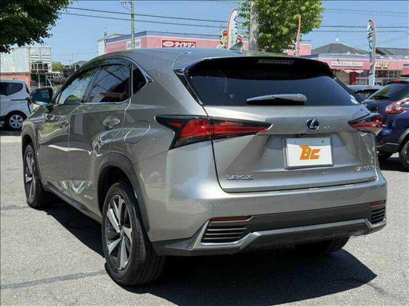NX
