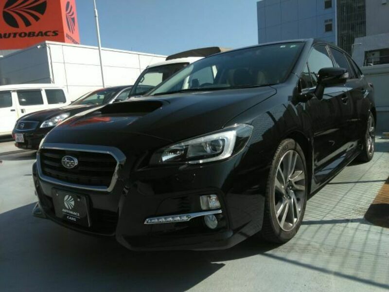 LEVORG-0