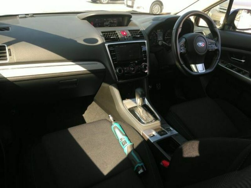 LEVORG