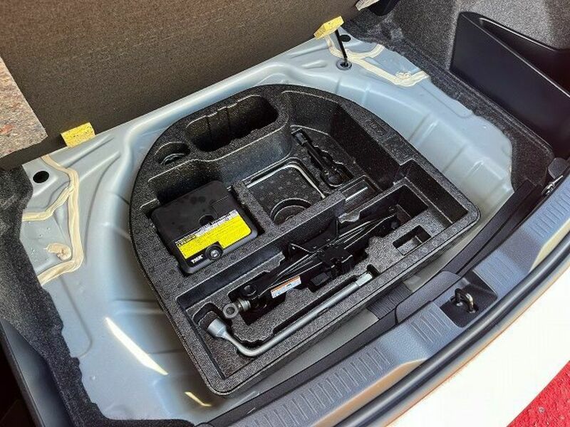 AURIS