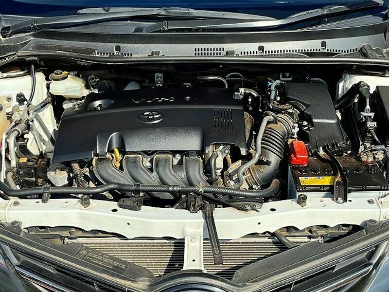 AURIS