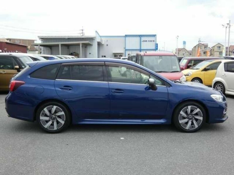 LEVORG