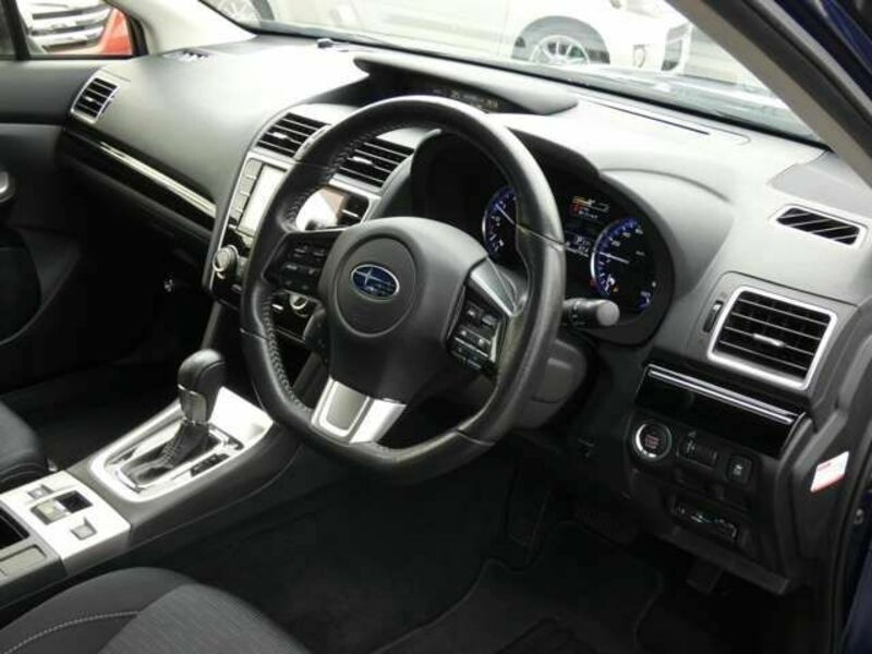 LEVORG