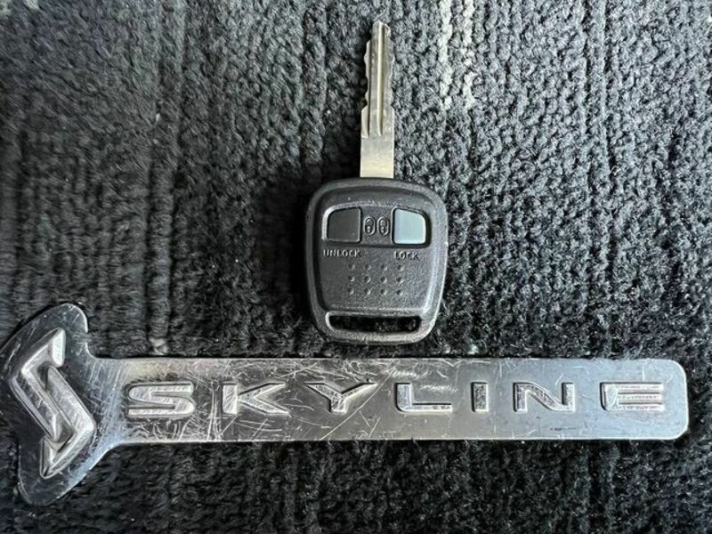 SKYLINE