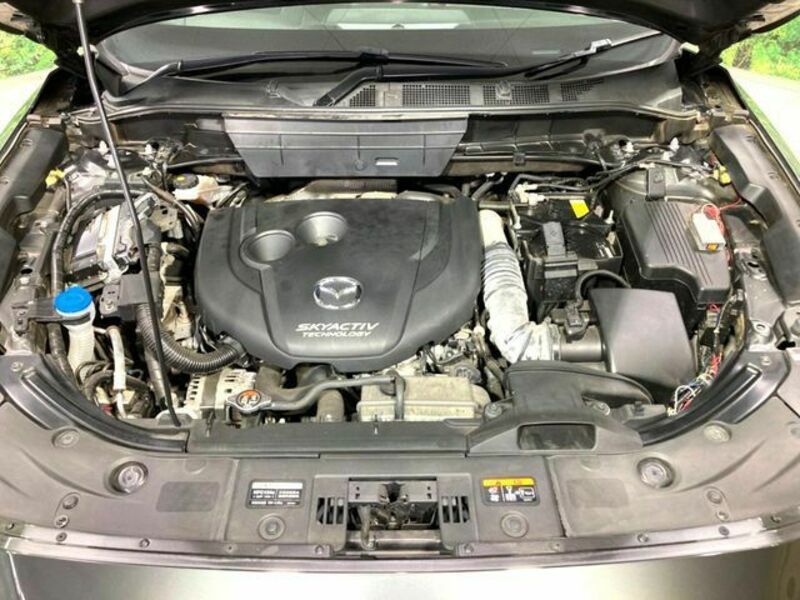 CX-8