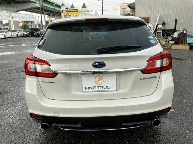 LEVORG
