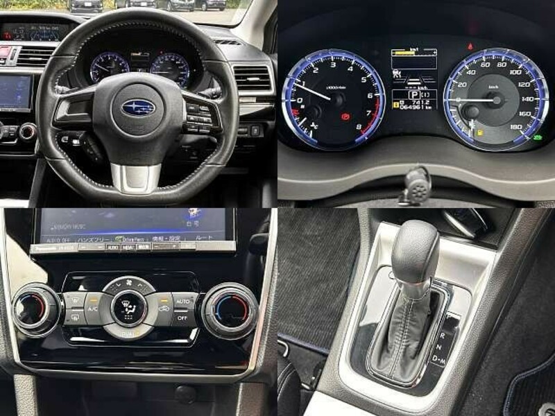 LEVORG