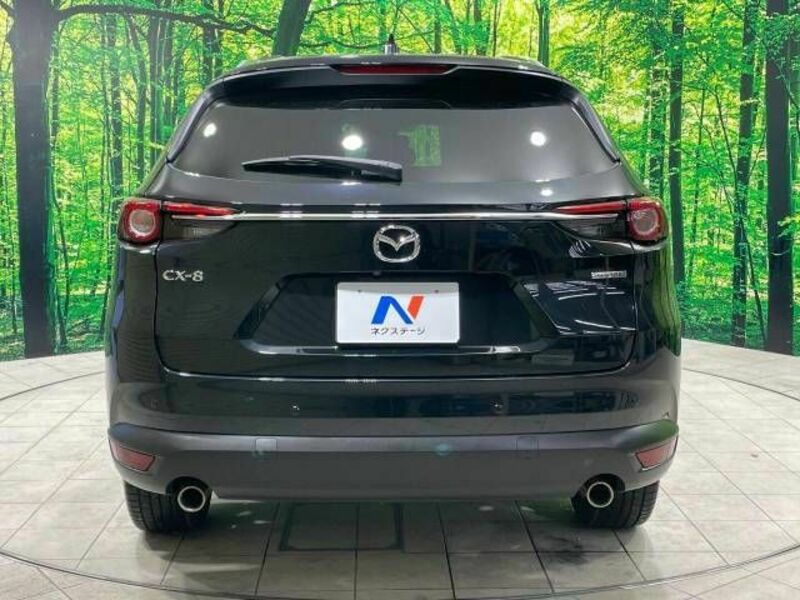 CX-8