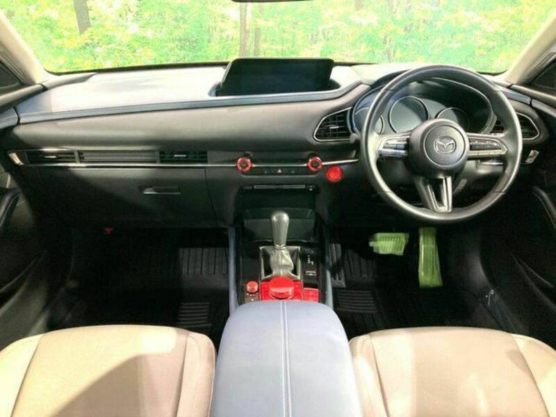 CX-30