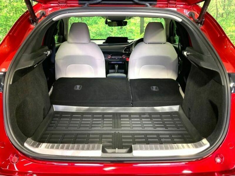 CX-30