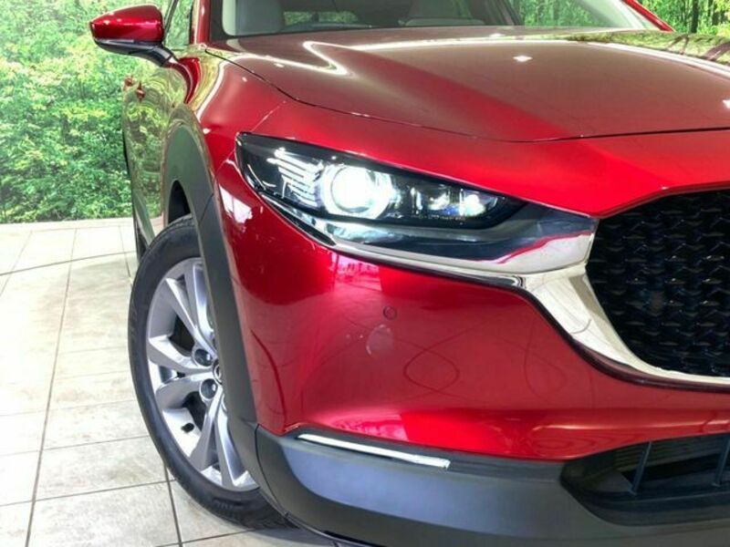 CX-30