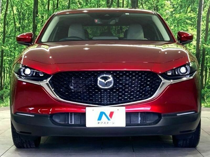 CX-30