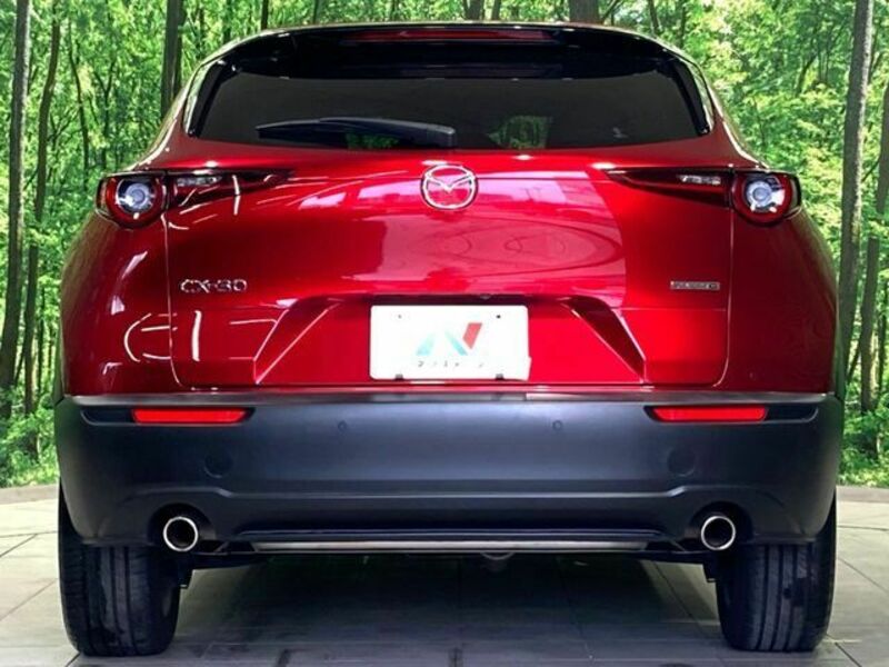 CX-30