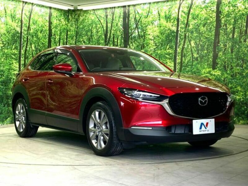 CX-30