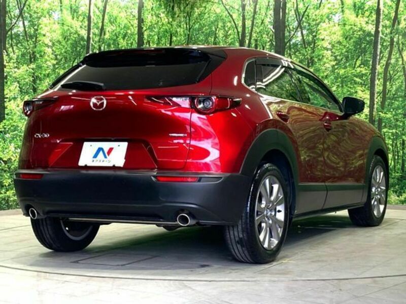 CX-30