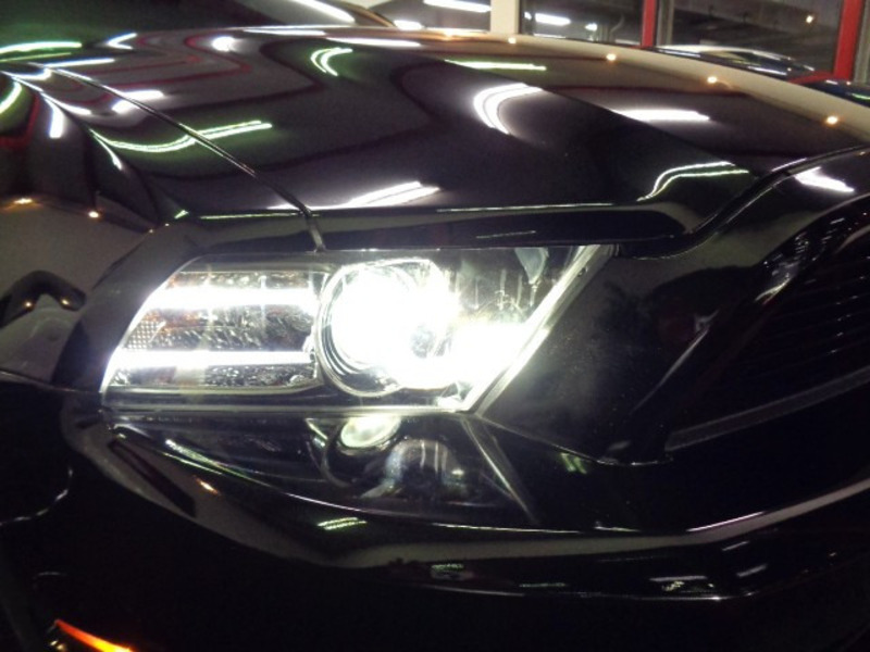 MUSTANG