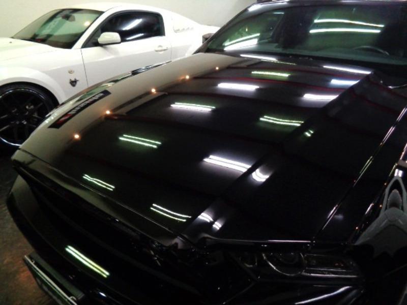 MUSTANG