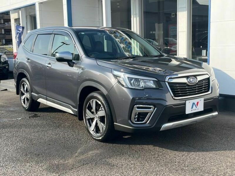FORESTER