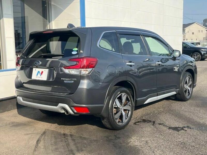 FORESTER