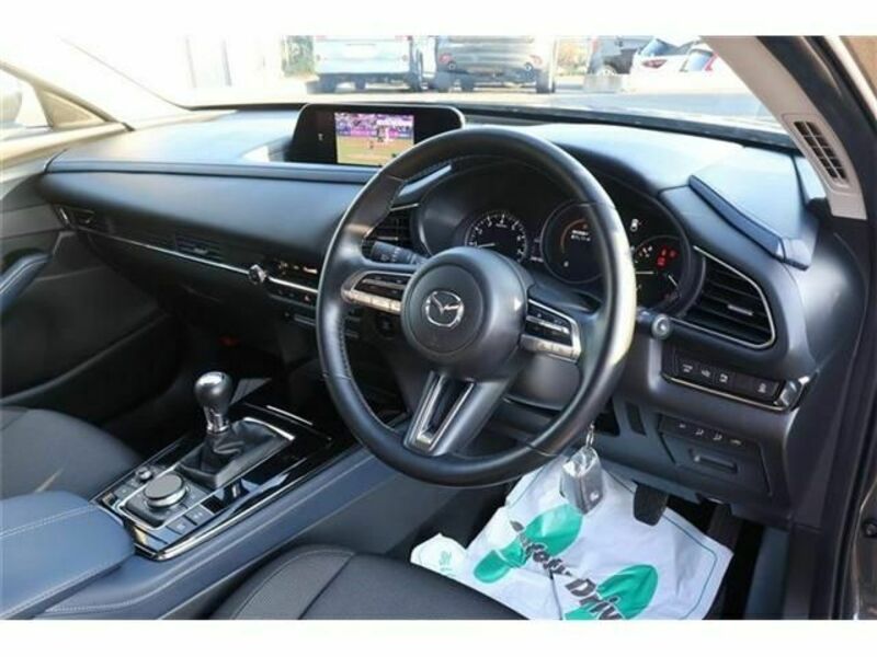 CX-30