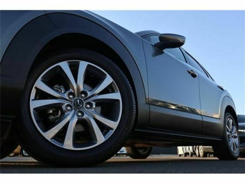 CX-30