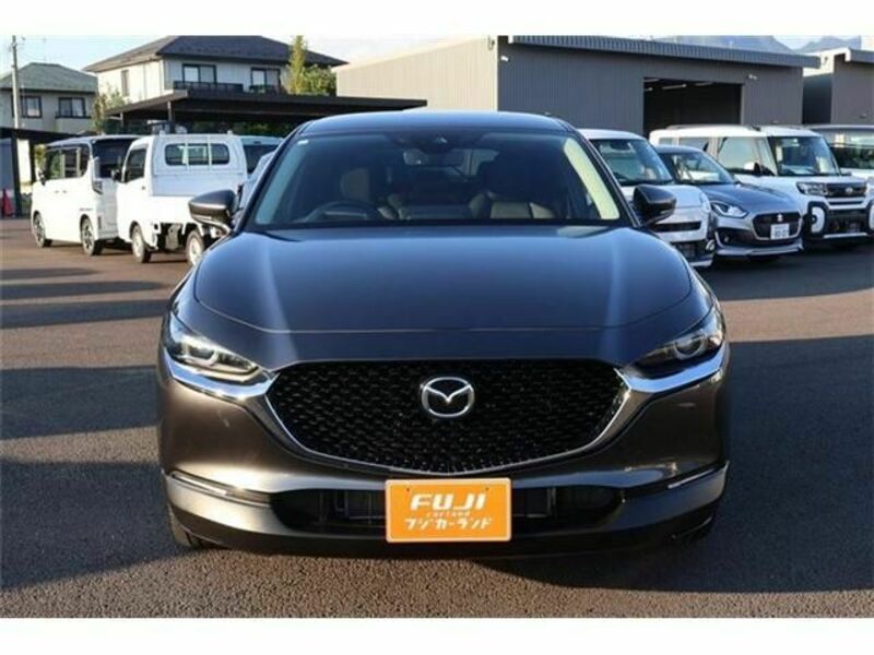 CX-30