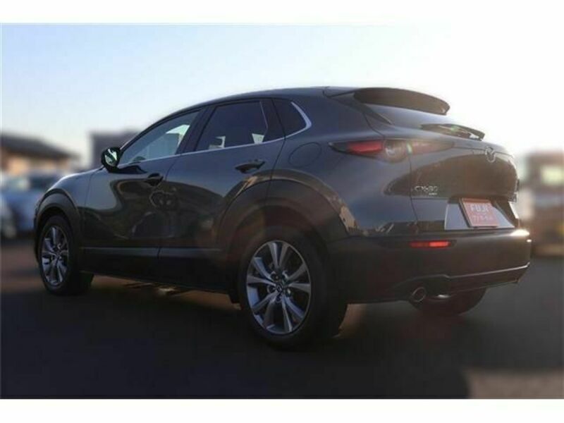 CX-30
