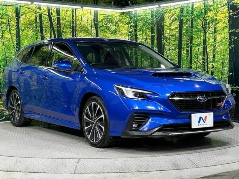 LEVORG