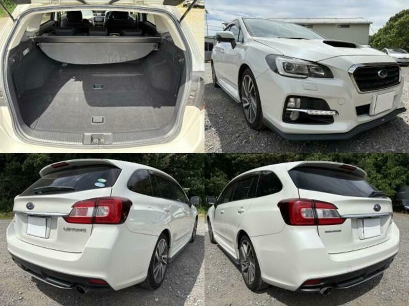 LEVORG