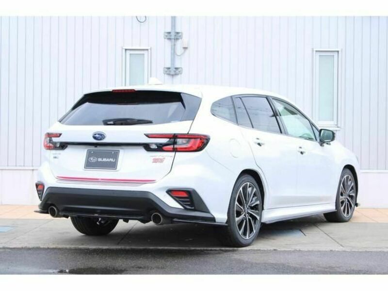 LEVORG