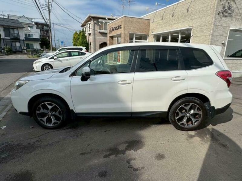FORESTER