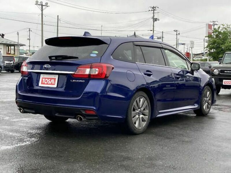LEVORG
