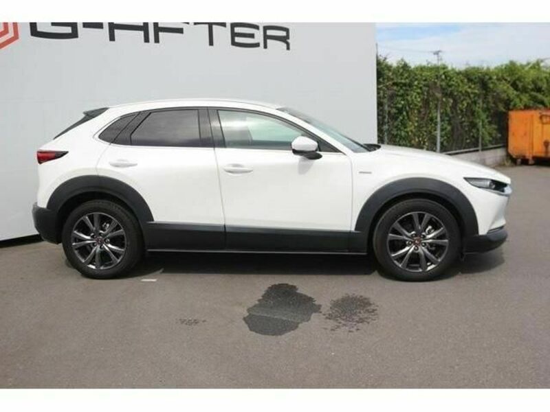 CX-30