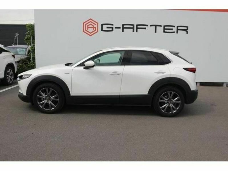CX-30