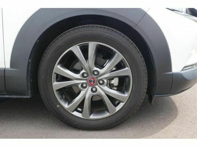 CX-30