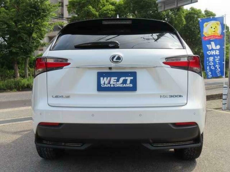 NX
