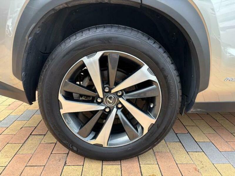 NX