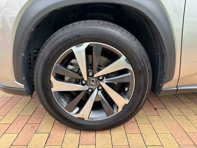 NX