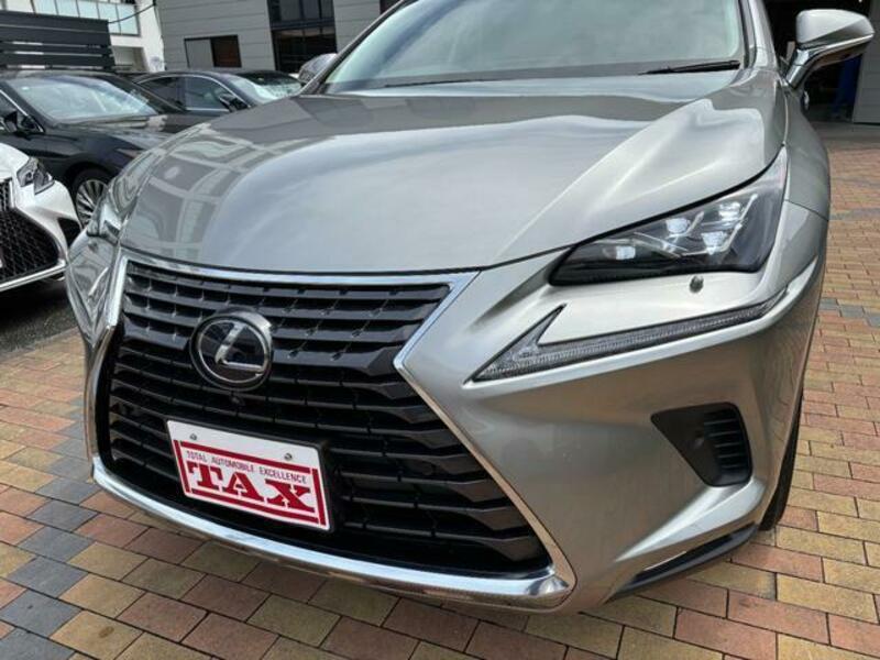 NX