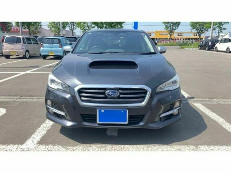 LEVORG-0