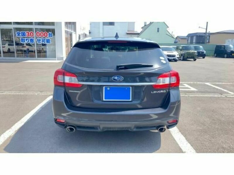 LEVORG