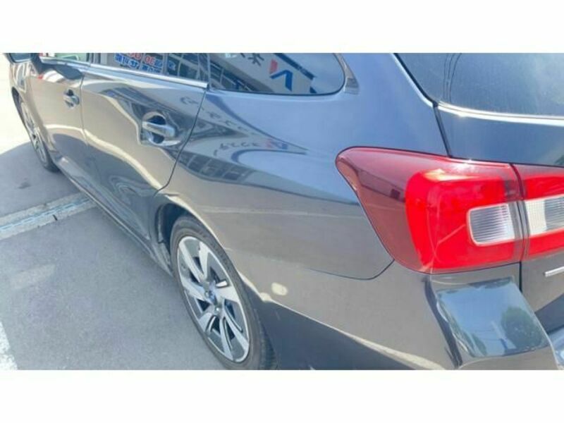 LEVORG