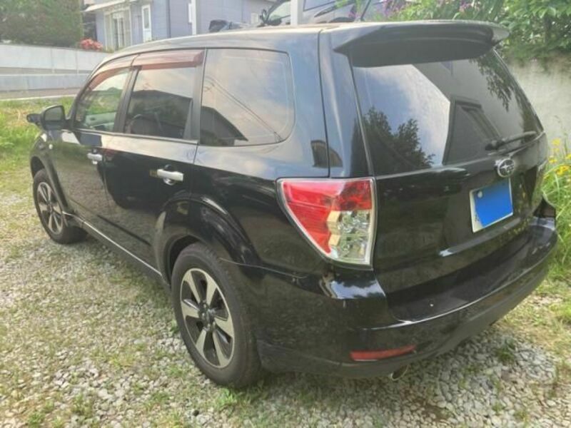 FORESTER