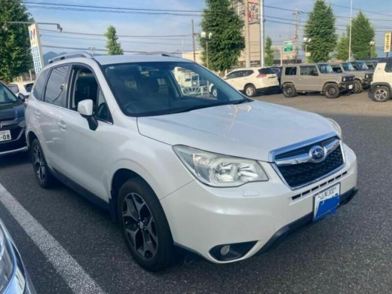 FORESTER