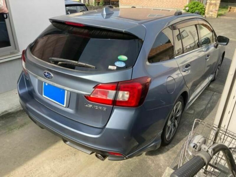LEVORG