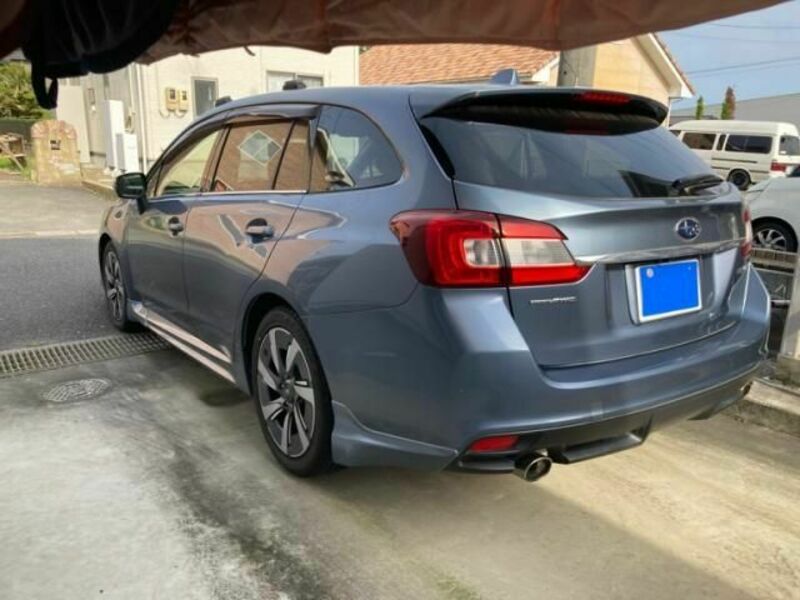 LEVORG