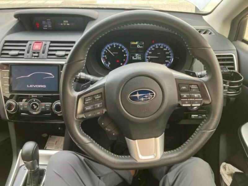 LEVORG